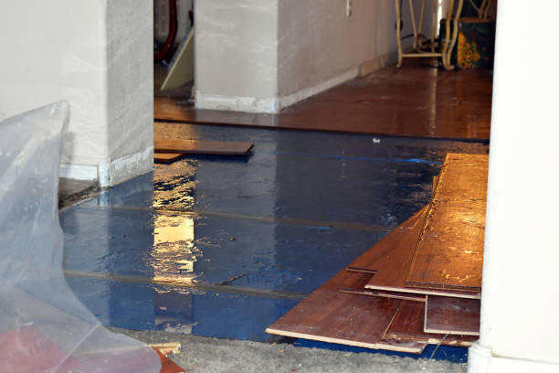 Professional Water Extraction technician working in Marathon, FL